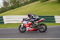 Evening Low_Mid Group Multicolour Bikes